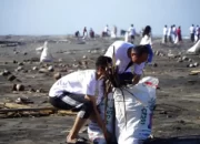 PLN Kolaborasi dengan Mahasiswa IIB Darmajaya Membersihkan 2,5 Ton Sampah di Pesisir Pantai Bandar Lampung