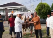 Partai Gerindra Lampung Mengadakan Penyembelihan 16 Sapi Kurban untuk Berbagi Kebahagiaan Iduladha dengan Masyarakat