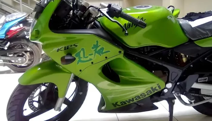 Sudah Mahal Harganya, Tapi Memelihara Kawasaki Ninja RR Lebih Menantang dari Motor 4-Tak
