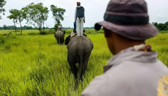 Bosan ke Way Kambas, 10 Paket Wisata di Braja Harjosari Lampung Timur ini Wajib Dikunjungi Saat Liburan