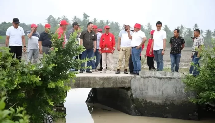 Proses Dinormalisasi Segera Dilakukan untuk Irigasi 25 Km di Sragi Lampung Selatan, Bangunan Liar Akan Dibereskan