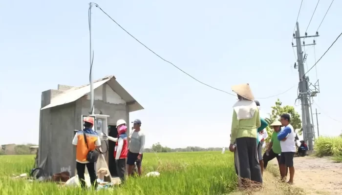 Revolusi Listrik di Pertanian: Program Electrifying Agriculture PLN Berkembang Pesat dengan Kenaikan 22,28 Persen