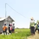 Revolusi Listrik di Pertanian Program Electrifying Agriculture PLN Berkembang Pesat dengan Kenaikan 22,28 Persen
