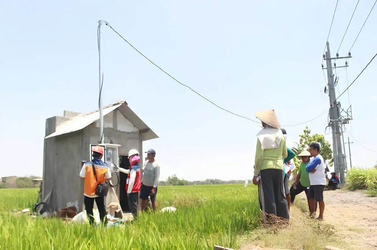 Revolusi Listrik di Pertanian Program Electrifying Agriculture PLN Berkembang Pesat dengan Kenaikan 22,28 Persen