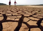 Peringatan dari BMKG: Dampak El Nino Semakin Mematikan, Ketahanan Pangan Terancam!