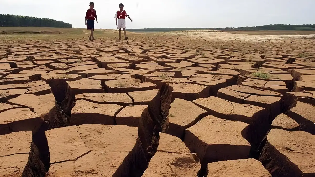 BMKG Prediksi Dampak El Nino Lebih Parah Tahun ini, Ancaman Gagal Panen Ganggu Ketahanan Pangan