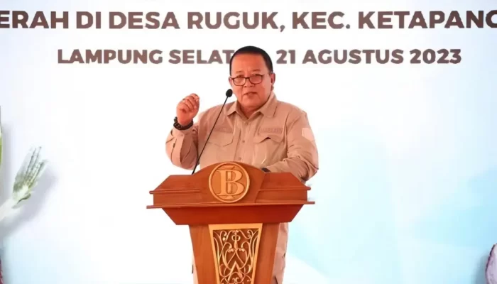 Gubernur Arinal Mengajukan Ajakan Memperkuat Solidaritas dalam Mengendalikan Inflasi Pangan di Lampung