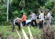 Kawanan Gajah Masuk ke Kebun Warga Pekon Sedayu Semaka Tanggamus, 6 Hektare Tanaman Rusak