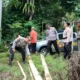 Kawanan Gajah Masuk ke Kebun Warga Pekon Sedayu Semaka Tanggamus, 6 Hektare Tanaman Rusak