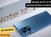 Xiaomi Redmi Note 12 Pro: Unleashing Unmatched Performance with 8GB RAM!