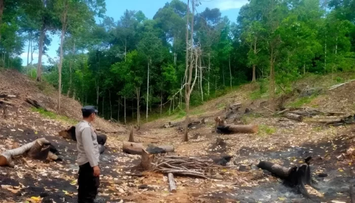 Kemarau Mencekam, Ketiga Lokasi di Pesisir Barat Mengancam dengan Kebakaran Hutan dan Lahan