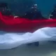 Rayakan HUT ke-78 RI, Klub Selam Anemon Unila Kolaborasi Kibarkan Bendera Merah Putih di Laut Pahawang