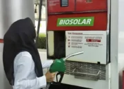 Pana Oil: Performa Pelumas Mesin Tetap Optimal dengan BBM B35 Tanpa Efek Negatif
