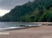 Tembus Pesona Pulau Tabuan, Keindahan Tersembunyi di Cukuh Balak Tanggamus, Destinasi Ideal Akhir Pekan