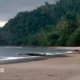 Pesona Pulau Tabuan, Surga Tersembunyi di Cukuh Balak Tanggamus, Cocok Untuk Wisata Akhir Pekan