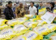 Rawan Dioplos! Bulog dan Satgas Pangan Lampung Siaga Pedagang dan Saluran Eceran Beras SPHP