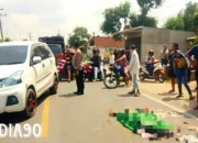 Tragedi Maut di Jalinbar Gadingrejo Pringsewu: Pemotor Wanita Tewas Tersambar Pick-up saat Berusaha Balik Arah