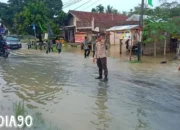 Masuki Musim Penghujan, Rumah Warga di Way Krui dan Pesisir Tengah Tergenang Banjir