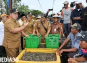 Optimalkan Potensi Perikanan: Gubernur Arinal Ajak Tingkatkan Produksi Udang melalui Pertambakan di Tulang Bawang, Lampung