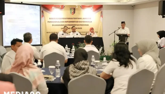 Sosialisasi Peraturan Jabatan Fungsional dan Inovasi Implementasi Sistem Kerja oleh Pemerintah Provinsi Lampung