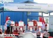 PLN Pimpin Revolusi Hijau di Asia Tenggara: Resmikan 21 Pabrik Green Hydrogen dengan Kapasitas Produksi Hingga 199 Ton Pertahun