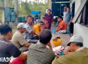 PLN Responsif, Genset Baru Dikirim ke Pulau Tabuan Tanggamus Demi Atasi Keluhan Listrik Byarpet Selama Setahun