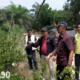 Warga Labuhan Maringgai Lampung Timur Keluhkan Puluhan Tahun Tiang Listrik Kurang dan Pakai Bambu, Ombudsman Cek Lokasi