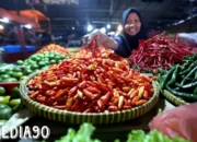 Optimalkan Stok dan Kolaborasi: TPID Lampung Terapkan Strategi 4K untuk Menangkal Kenaikan Harga Pangan Akhir Tahun