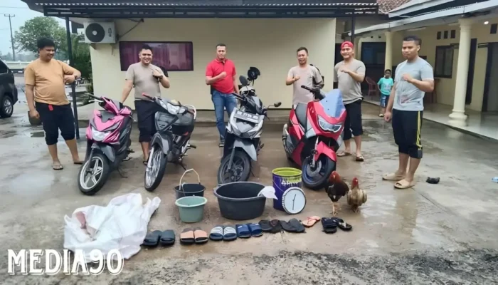 Diamankan Satpol PP, Terduga Pengelola Sabung Ayam di Lampung Timur Terjun ke Sungai Saat Razia Polisi