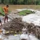 Banjir Melanda Semaka Tanggamus: 149 Rumah Terendam dalam Derita Dua Hari Hujan Deras, Tanggul Jebol, Jembatan Putus