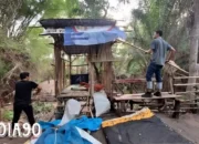 Razia di Gunung Sugih Lampung Tengah: Polisi Ungkap Fakta Mengejutkan Saat Menyergap Gubuk Kebun Sawit yang Berubah Jadi Sarang Narkoba
