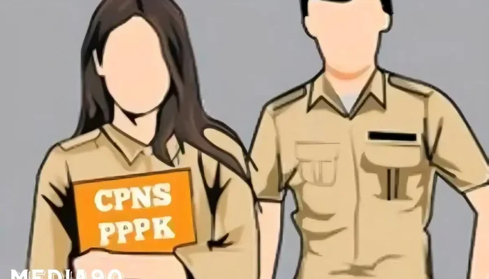 PPP-K Sediakan Peluang Tanpa Tes: Panduan dan Persyaratan Lengkap untuk Tenaga Honorer