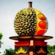 Terlambat Berbuah, Musim Buah Durian di Bandar Lampung Diprediksi Mulai Pertengahan Januari 2024