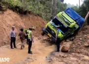 Jalan Liwa-Krui Lumpuh Total Akibat Truk Terjebak Longsor, Lalu Lintas Lampung Barat-Pesisir Barat Dialihkan