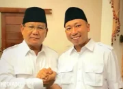 Analisis: Gerindra Mulai Beraksi di Lampung, Rahmat Mirzani Djausal Tantang Kursi Gubernur – Ini Strategi dan Dampaknya