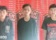 Operasi Gabungan Berhasil Mengungkap Aksi Pencurian Kabel Listrik oleh Tiga Pemuda, PLN Berterima Kasih kepada Polsek Penawartama Tulang Bawang
