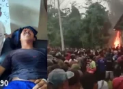 Kejadian Mengerikan: Harimau Serang Teman, Massa Amuk Kantor Resort TNBBS Suoh Lampung Barat