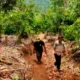 Enam Kandang Jebak Dipasang di Suoh dan BNS Lampung Barat, Harimau Pemangsa Warga Belum Tertangkap