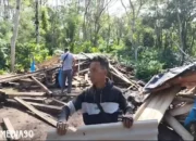 Teror Gajah: Kerusakan di Area Wisata dan Rumah Warga akibat Aksi Gajah Liar di Bandar Negeri Suoh, Lampung Barat