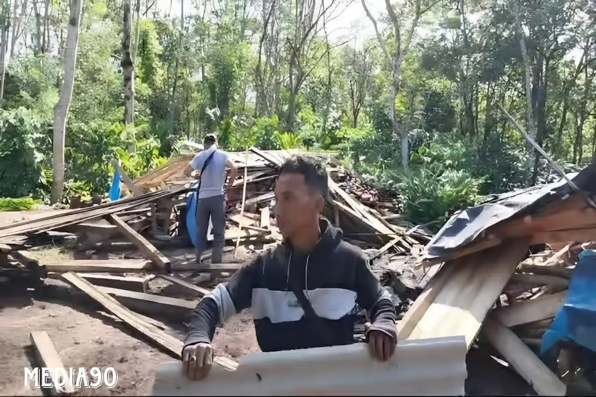 Kawanan Gajah Liar Ngamuk di Bandar Negeri Suoh Lampung Barat, Rusak Area Wisata dan Rumah Warga