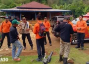 Jejak Binatang Buas Terungkap Saat Pencarian Perempuan Hilang di Hutan Tulung Balak Lampung Utara