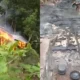 Rumah Warga Benteng Jaya Kota Agung Tanggamus Ludes Terbakar, HanyaTersisa Pakaian di Badan