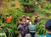 Wanita Hilang di Hutan Tanjung Raja, Lampung Utara: Pencarian Dihentikan Setelah Tak Ada Jejak