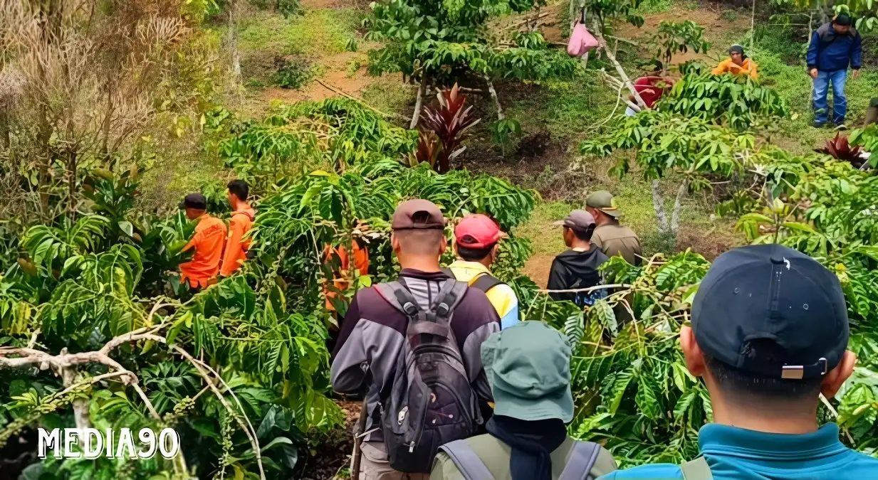 Tak Kunjung Ditemukan, Pencarian Wanita Hilang di Hutan Tanjung Raja, Lampung Utara Sejak Selasa, Dihentikan