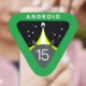 Android 15 versi beta publik pertama resmi dirilis, masih terbatas untuk perangkat Pixel