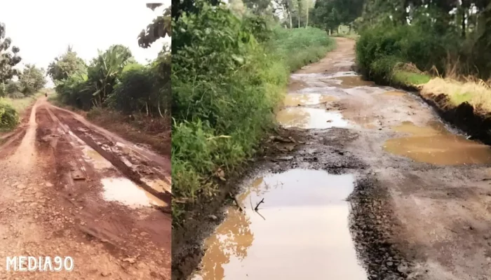 Misteri Jalan 12 di Mulang Maya: 10 Tahun Terabaikan, Ancaman Begal dan Kecelakaan Mengintai