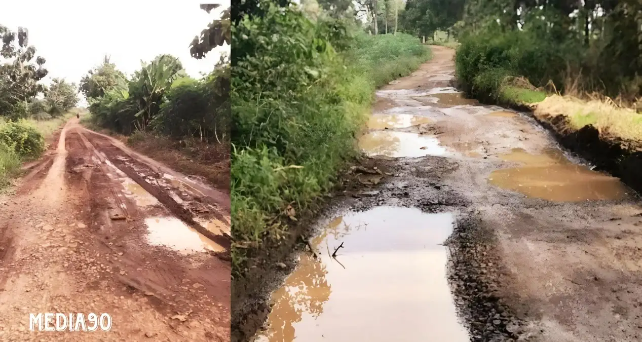Jalan 12 Lokasi di Mulang Maya Kotabumi Selatan 10 Tahun tak Diperbaiki, Rawan Begal dan Kecelakaan