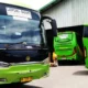 Langgar Aturan, KPPU Minta Organda Lampung Cabut Tarif Bus dan Travel Angkutan Lebaran 2024