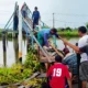 Lapuk Dimakan Usia, Petambak Dipasena di Kampung Bumi Sentosa Kompak Perbaiki Jembatan