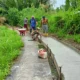 Pakai Dana Desa Rp99,3 Juta, Jalan Utama di Kampung Bumi Sentosa Tulang Bawang Direhab Rabat Beton